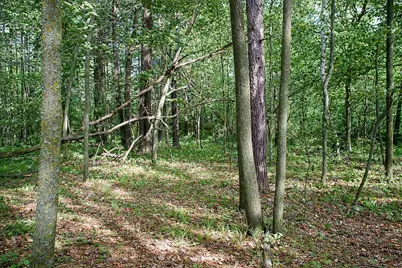 Tbd Rognaldson Road, Brainerd, MN 56401 - Photo 12