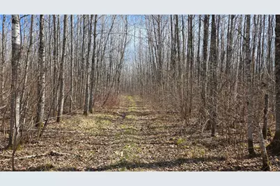 Tbd 43 Lummi Road, Orr, MN 55771 - Photo 24