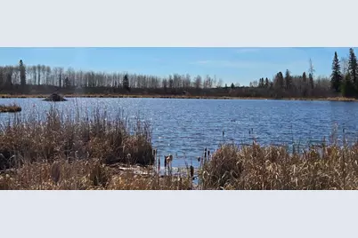 Tbd 43 Lummi Road, Orr, MN 55771 - Photo 4
