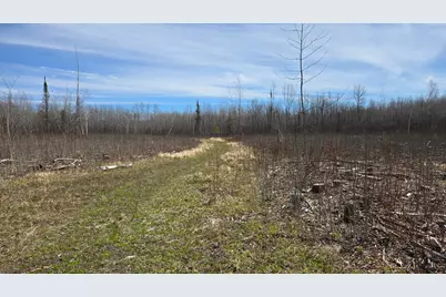 Tbd 43 Lummi Road, Orr, MN 55771 - Photo 26