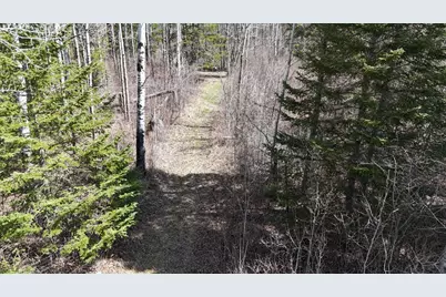 Tbd 43 Lummi Road, Orr, MN 55771 - Photo 20