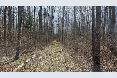 Tbd 43 Lummi Road, Orr, MN 55771 - Photo 22