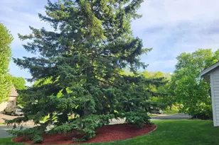 3694 Windtree Dr, Eagan, MN 55123 - Photo 6