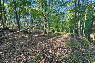 19807 Balentine Rd, Caledonia, MN 55921 - Photo 82