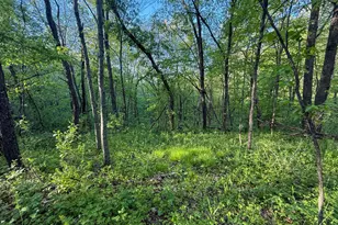 19807 Balentine Rd, Caledonia, MN 55921 - Photo 76
