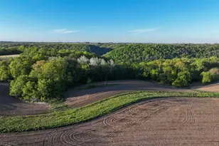 19807 Balentine Rd, Caledonia, MN 55921 - Photo 64