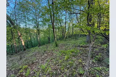 19807 Balentine Road, Caledonia, MN 55921 - Photo 72