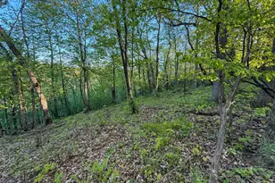 19807 Balentine Rd, Caledonia, MN 55921 - Photo 72