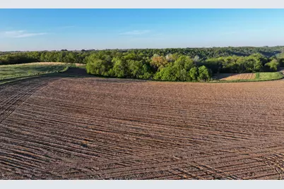 19807 Balentine Road, Caledonia, MN 55921 - Photo 62