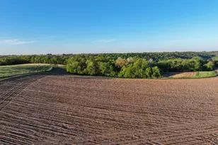 19807 Balentine Rd, Caledonia, MN 55921 - Photo 62