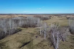 41254 155th Pl, McGregor, MN 55760 - Photo 30