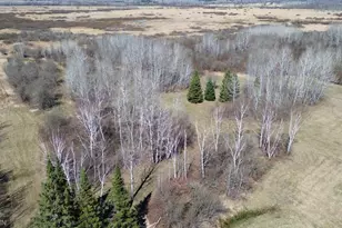41254 155th Pl, McGregor, MN 55760 - Photo 50