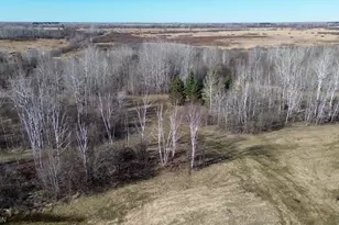 41254 155th Pl, McGregor, MN 55760 - Photo 32