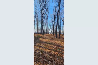 Xxxx Diamond Trail NW, Walker, MN 56484 - Photo 12