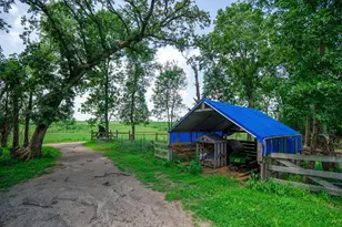 21033 125th St NW, Sunburg, MN 56289 - Photo 46