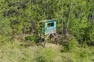 27965 County 7, Park Rapids, MN 56470 - Photo 42