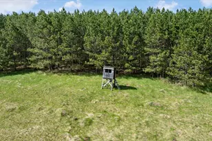 27965 County 7, Park Rapids, MN 56470 - Photo 44