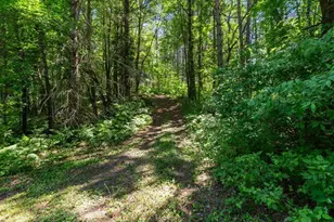 45940 295th St, Deerwood, MN 56444 - Photo 72