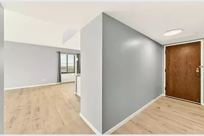 207 5th Avenue SW #1001, Rochester, MN 55902 - Photo 2