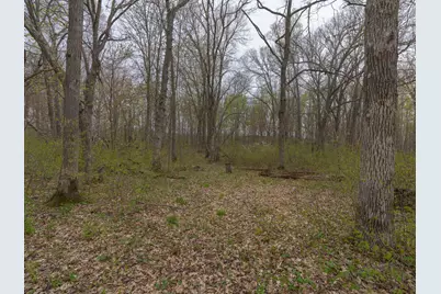 Tbd Destiny Drive, Garrison, MN 56450 - Photo 2