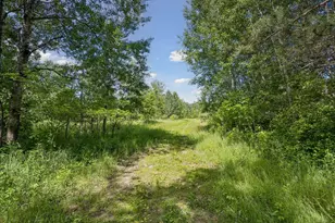 13763 Co Rd 3, Clear Lake, MN 55319 - Photo 62