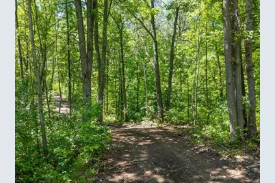 Lot 1 County Road 12, Ironton, MN 56455 - Photo 6