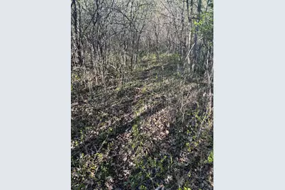 Tbd (Xxx) Florence Trail, Milaca, MN 56353 - Photo 24