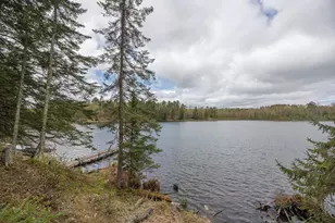 1169 Wabedo Pass Rd NE, Longville, MN 56655 - Photo 40