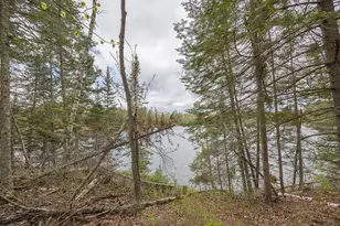 1169 Wabedo Pass Rd NE, Longville, MN 56655 - Photo 44