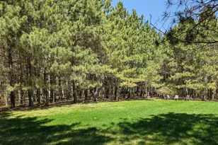 7570 Sandhill Terrace NE, Carlos, MN 56319 - Photo 8