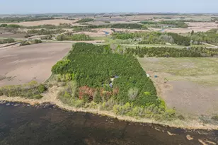 36784 US Hwy 59, Erhard, MN 56534 - Photo 34