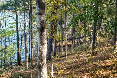 Tbd Liedlwood Ln, Pequot Lakes, MN 56472 - Photo 42