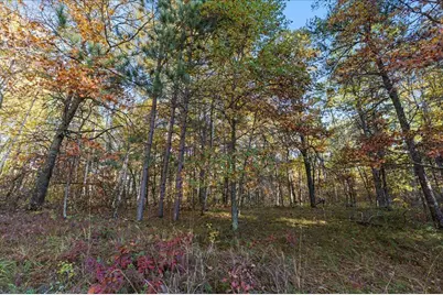Tbd Liedlwood Ln, Pequot Lakes, MN 56472 - Photo 22