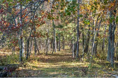 Tbd Liedlwood Ln, Pequot Lakes, MN 56472 - Photo 46
