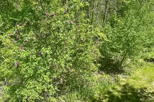 8751 212th St Ct N, Forest Lake, MN 55025 - Photo 16