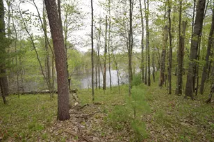 30349 Johnson Creek Trail, Danbury, WI 54830 - Photo 44