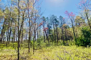 1297 Dock Lake Rd, Spooner, WI 54801 - Photo 36