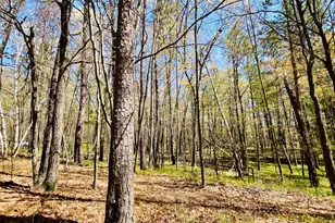 1297 Dock Lake Rd, Spooner, WI 54801 - Photo 24