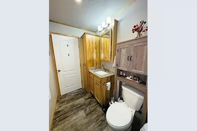 49354 Center Point Road, Bigfork, MN 56628 - Photo 66