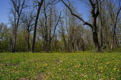 Tbd 125th Street, Dalton, MN 56324 - Photo 10