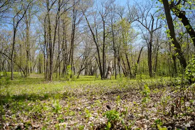 Tbd 125th Street, Dalton, MN 56324 - Photo 34