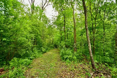 30300 County 1, Spring Valley, MN 55975 - Photo 42