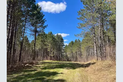 Tbd (164.21Ac) Maple Grove Road, Cloquet, MN 55720 - Photo 6