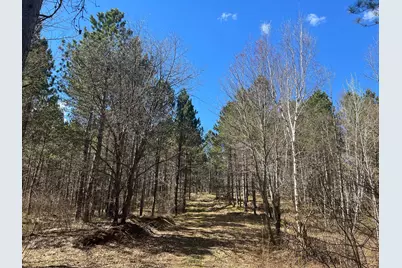Tbd (164.21Ac) Maple Grove Road, Cloquet, MN 55720 - Photo 12