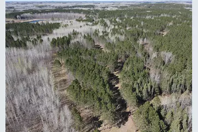 Tbd (164.21Ac) Maple Grove Road, Cloquet, MN 55720 - Photo 24
