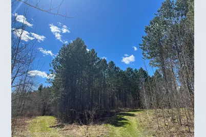 Tbd (164.21Ac) Maple Grove Road, Cloquet, MN 55720 - Photo 14