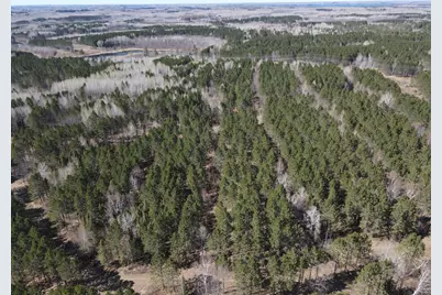 Tbd (164.21Ac) Maple Grove Road, Cloquet, MN 55720 - Photo 4