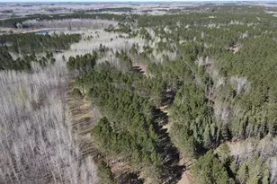 Tbd (280Ac) Maple Grove Rd, Cloquet, MN 55720 - Photo 1