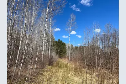 Tbd (280Ac) Maple Grove Road, Cloquet, MN 55720 - Photo 22