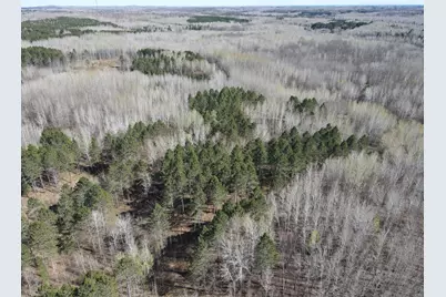 Tbd (280Ac) Maple Grove Road, Cloquet, MN 55720 - Photo 16